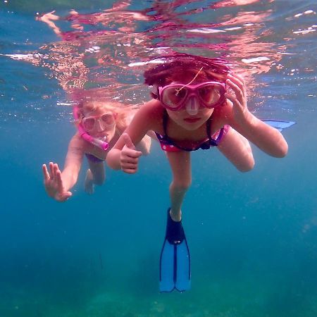 Apo Vista Apartments Diving Room Zamboanguita  Kültér fotó