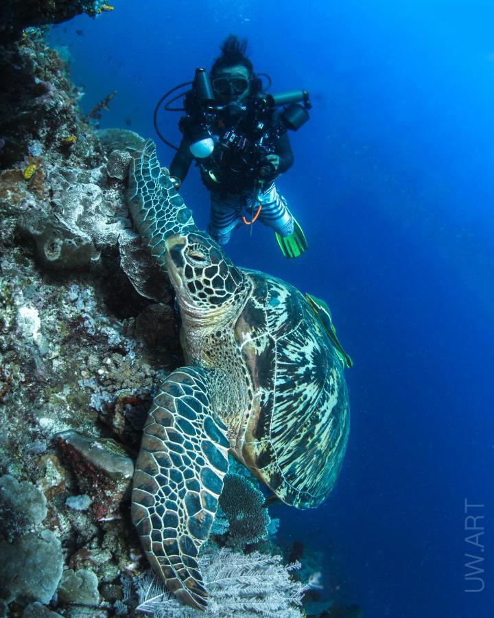 Apo Vista Apartments Diving Room Zamboanguita  Kültér fotó