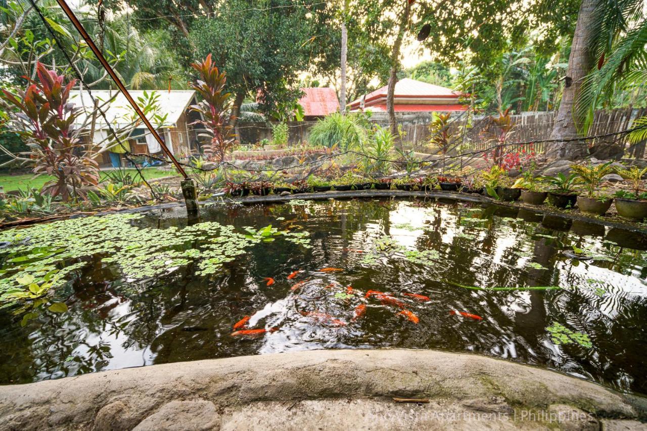 Apo Vista Apartments Diving Room Zamboanguita  Kültér fotó